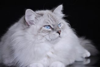 DSC_9695